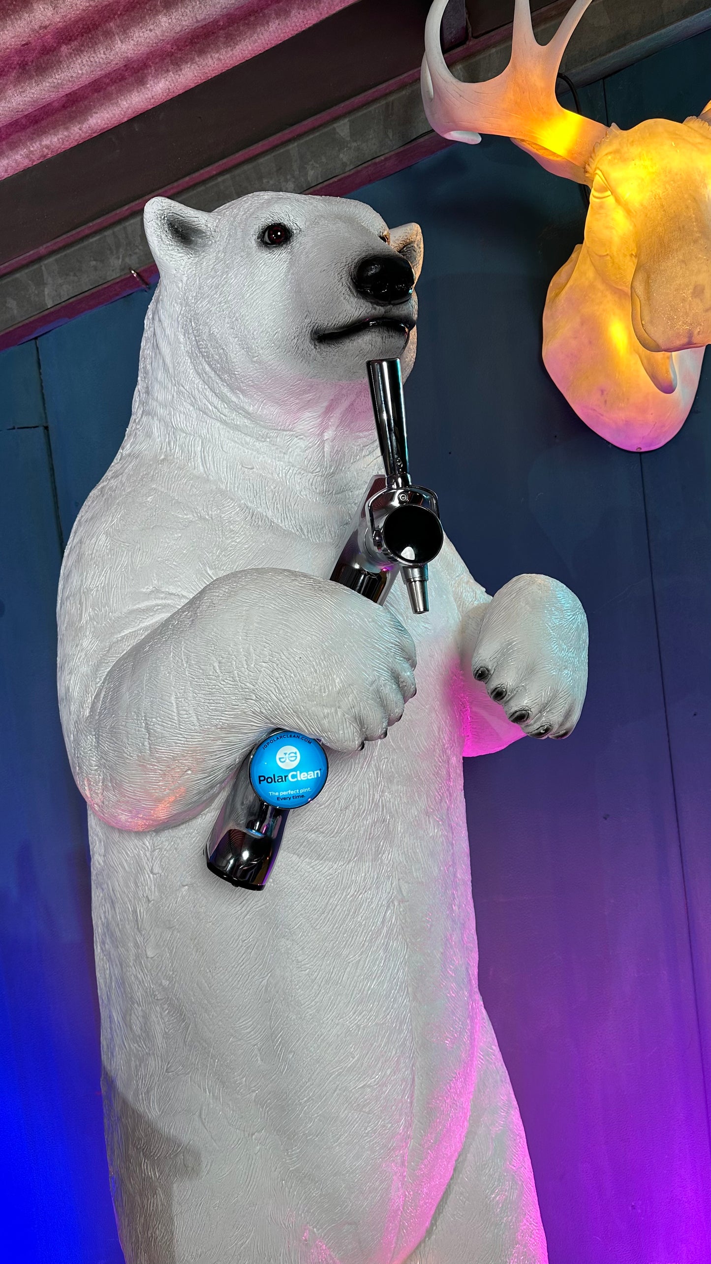 Polar Bear Bar